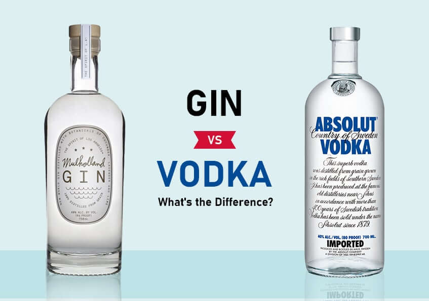 Gin vs. Vodka: What’s the Difference?