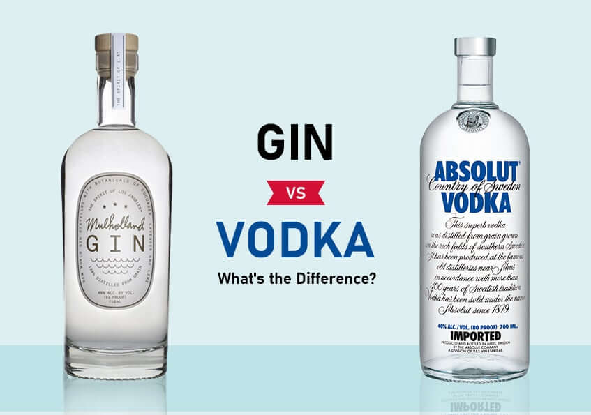 Is Gin From Vodka at Mark Cox blog