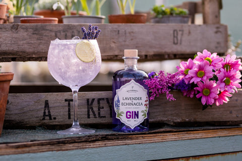 Old Curiosity Lavender and Echinacea Gin 50cl