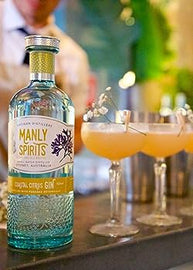 Manly Spirits Coastal Citrus Gin 70cl