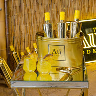 AU Gold Ice Bucket 10lt