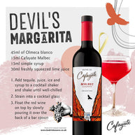 Cafayate Rutas de Malbec Red Wine 75cl