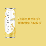 VOSS Lemon Cucumber Flavoured Sparkling Water 10x 330ml Cans