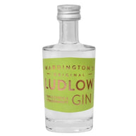 Ludlow Citrus and Pomegranate Gin Miniature 5cl 42% ABV