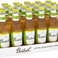 Britvic Spicy Ginger Ale 200ml